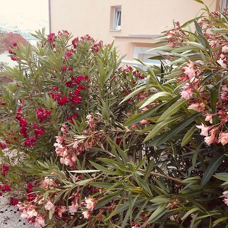 Ferienwohnung House Agradable Seget Vranjica Exterior foto
